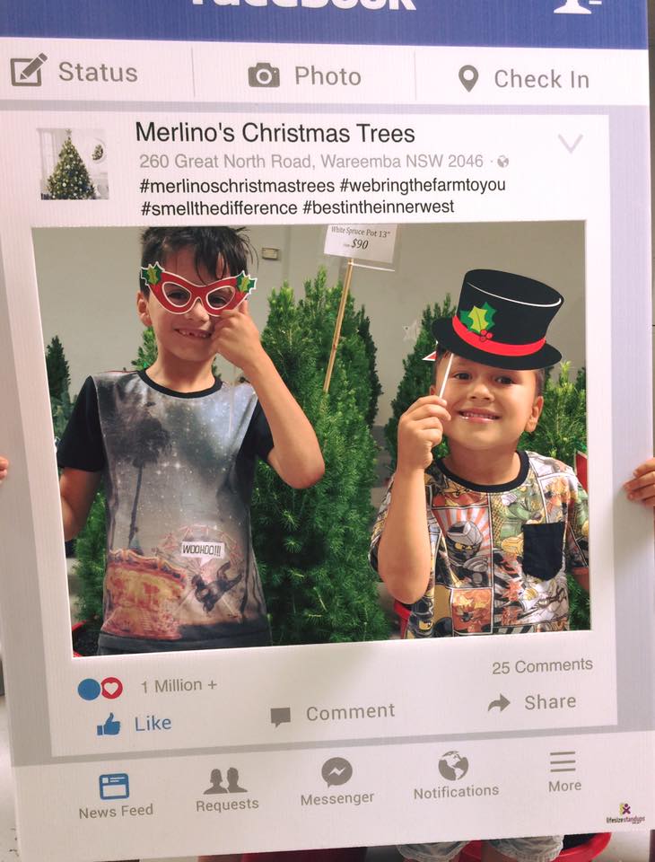 Real Christmas Trees in Sydney – Merlino's Christmas Trees